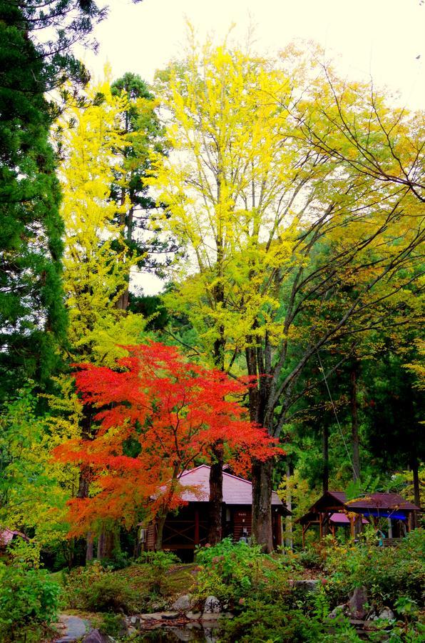 Woody Pal Yogo Villa Tsuruga Esterno foto